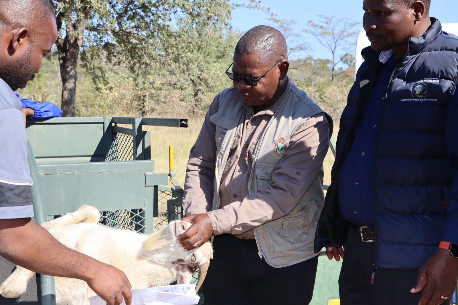 Lupane Field Day