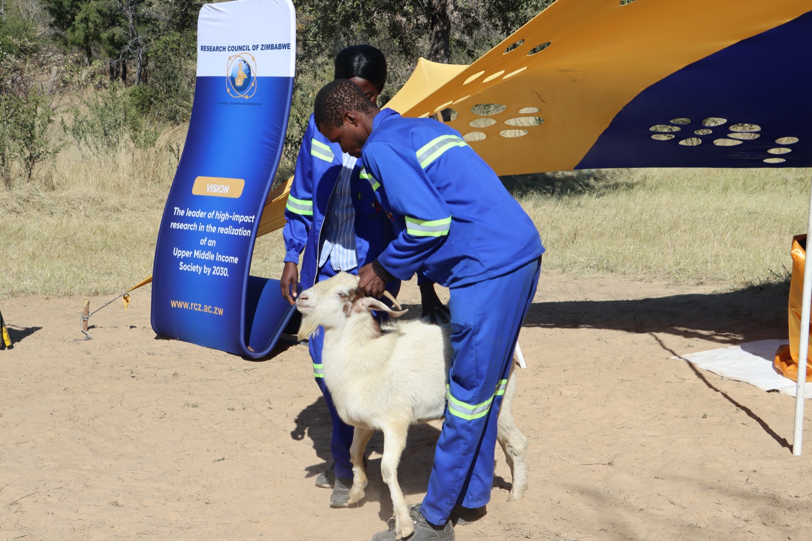 Lupane Field Day
